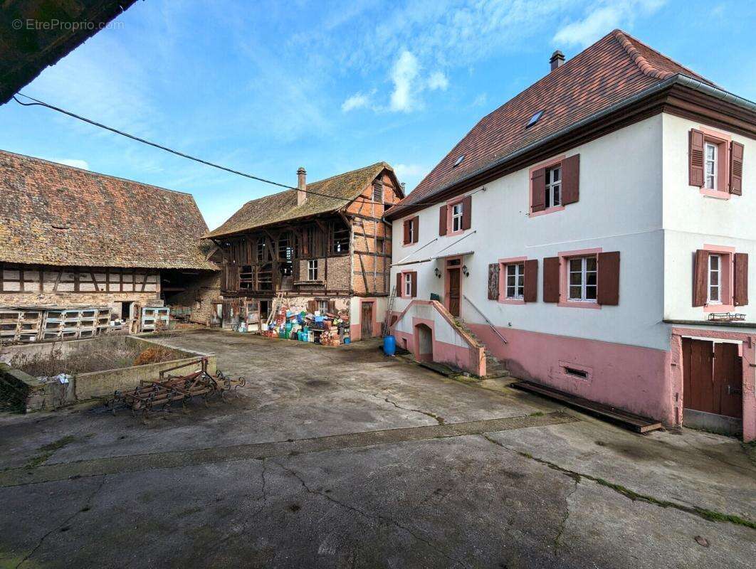 Maison à ENTZHEIM