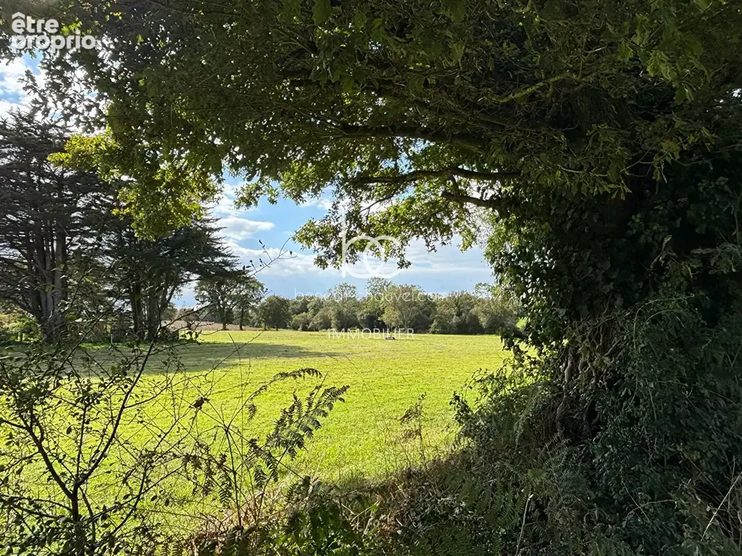 Berric - Terrain 1,5 hectare de Nature, Source et Ruisseau - photo 14