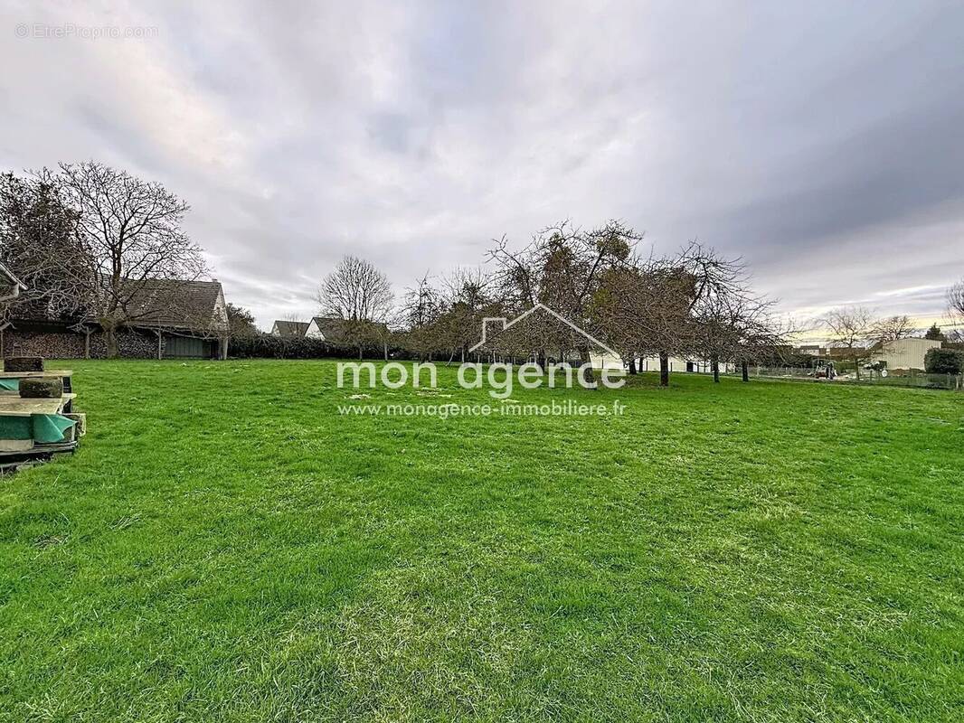 Terrain à MESNIL-RAOUL