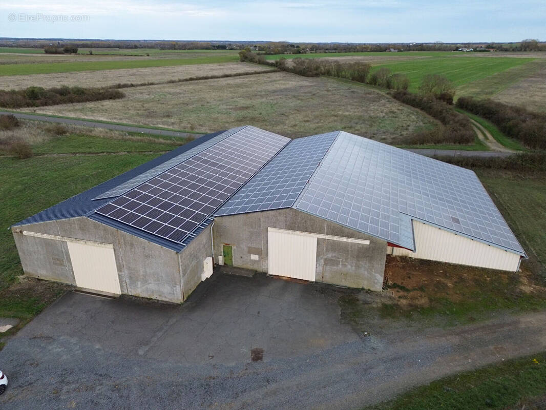 Commerce à MONTREUIL-BELLAY