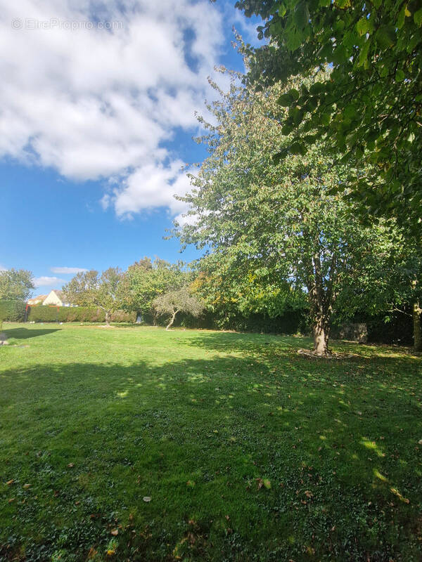 Terrain à MEZIERES-EN-VEXIN
