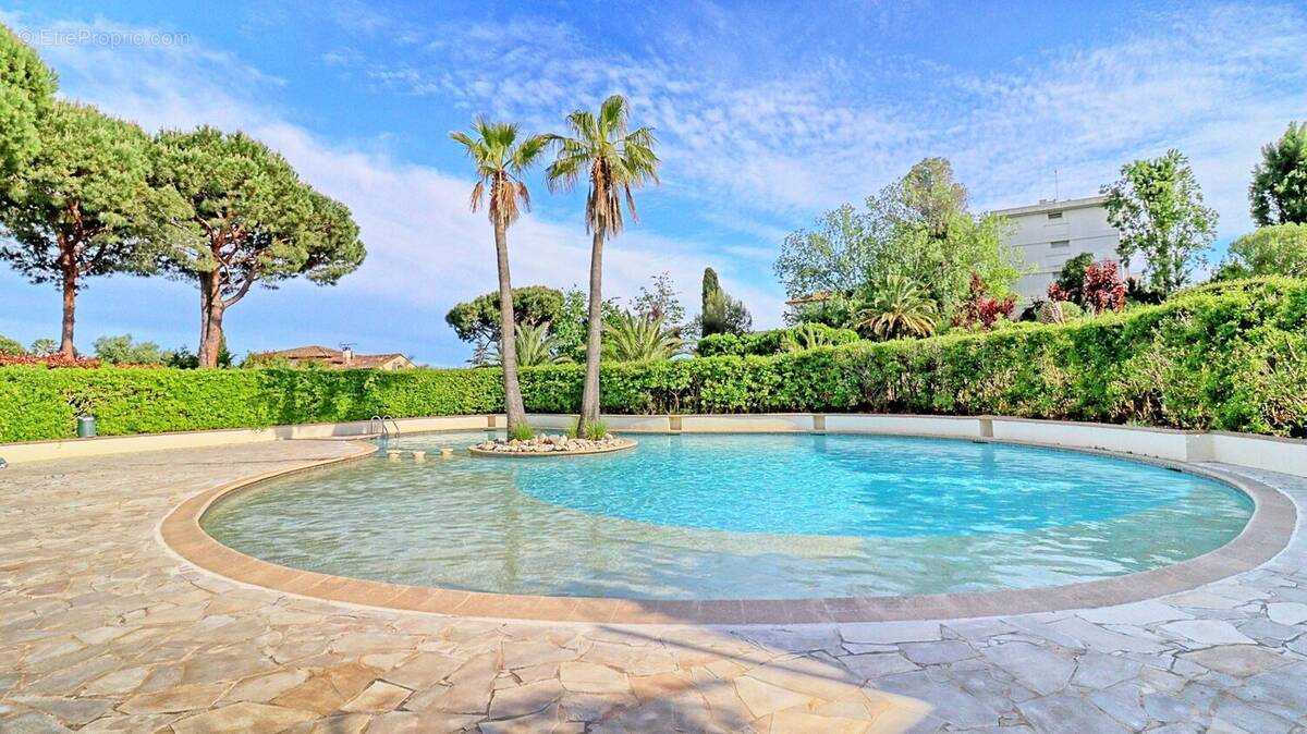 Piscine de la résidence - Appartement à ANTIBES