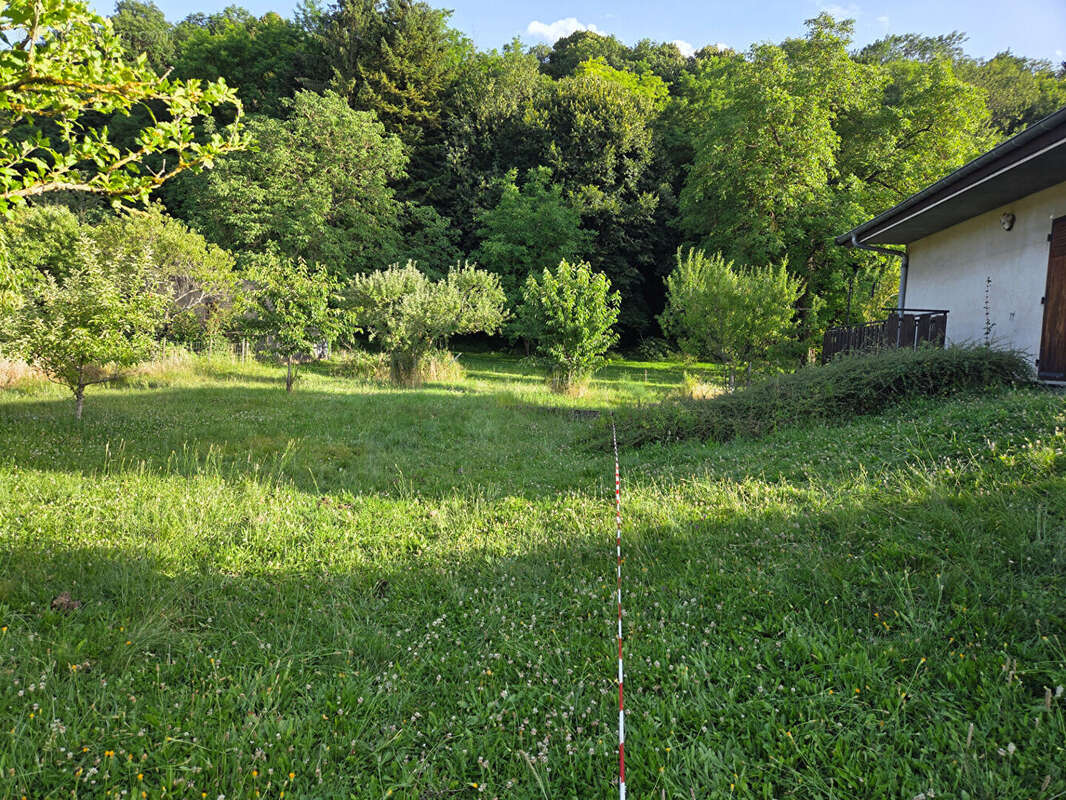 Terrain à BETTANT
