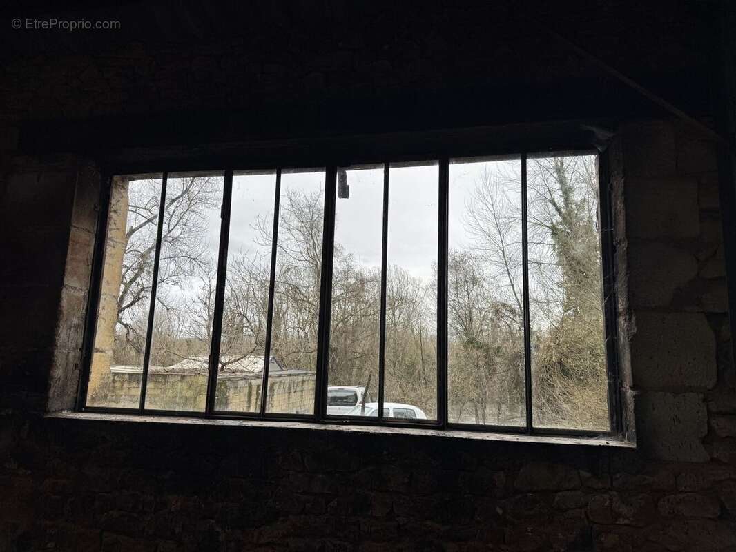 IMG1630 - Maison à SAINT-CYPRIEN