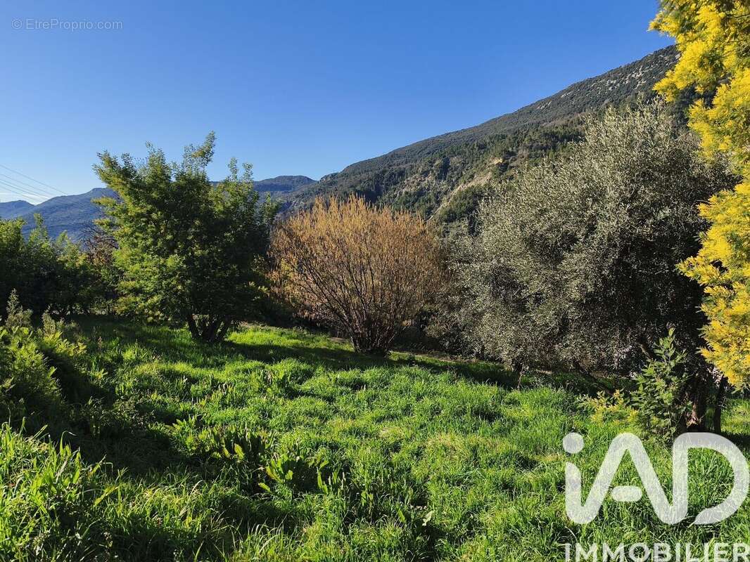 Photo 2 - Terrain à COARAZE