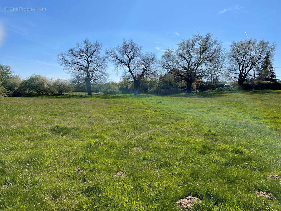 Terrain à MARCILLY-LES-BUXY
