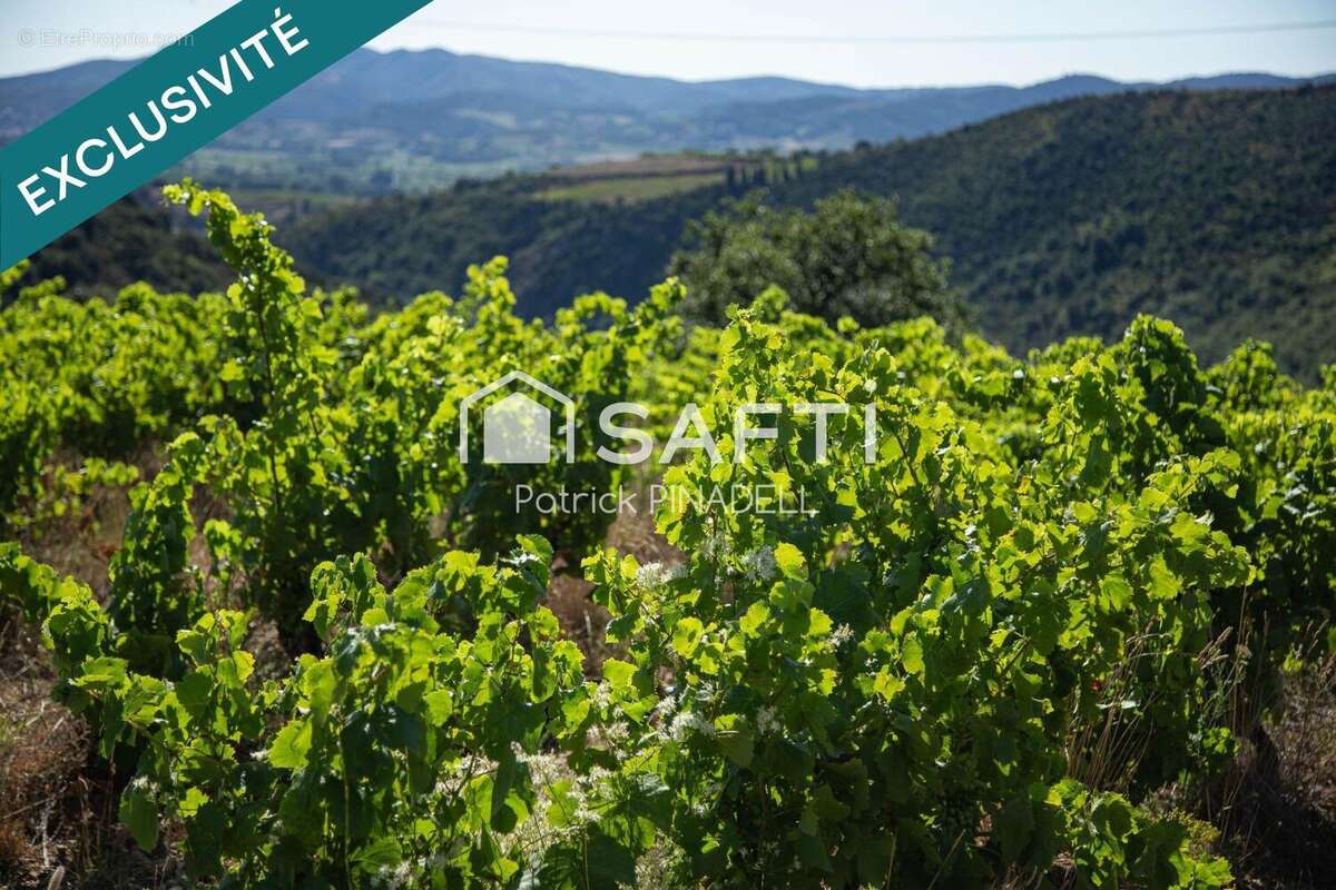 Photo 9 - Appartement à LATOUR-DE-FRANCE