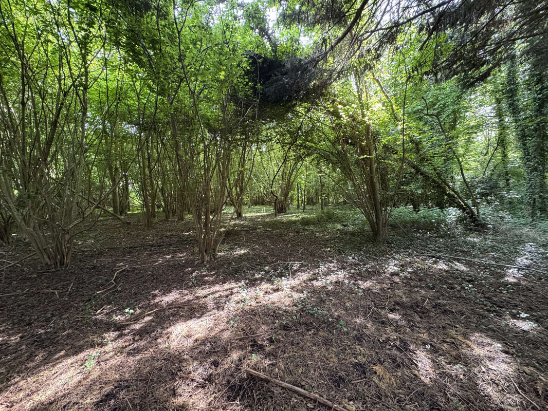 Terrain à BEUZEVILLE