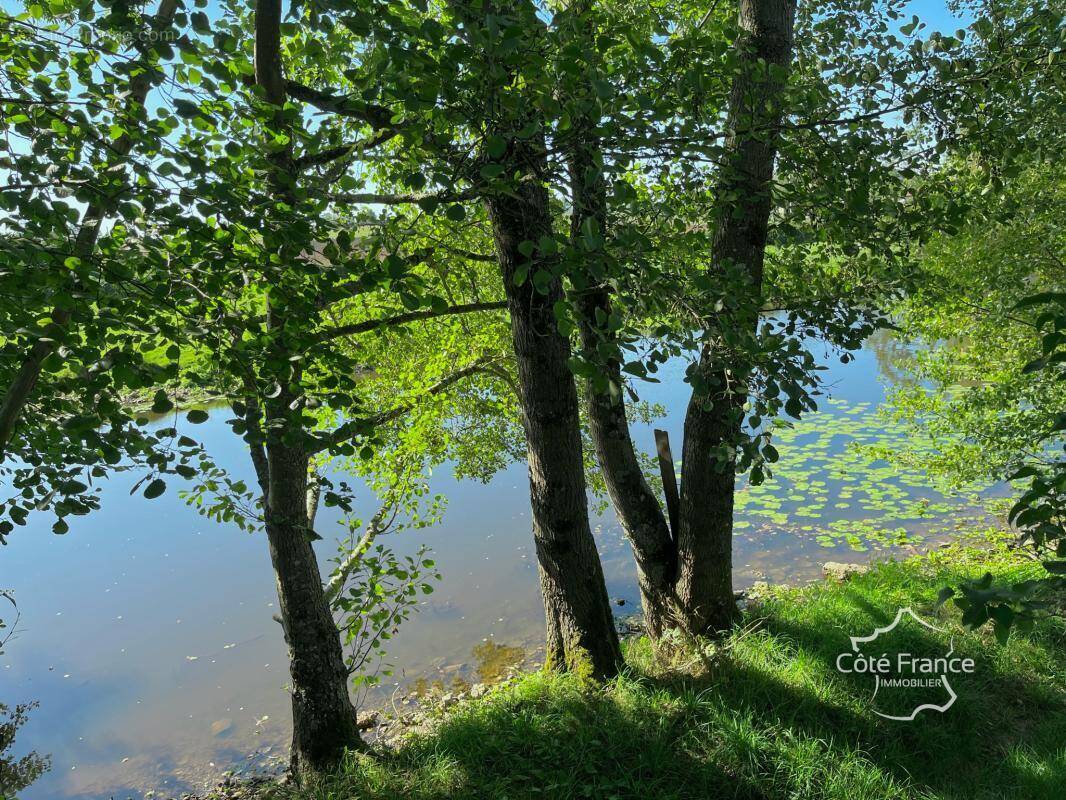 Terrain à GUILLON