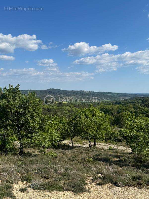 Terrain à SIGONCE