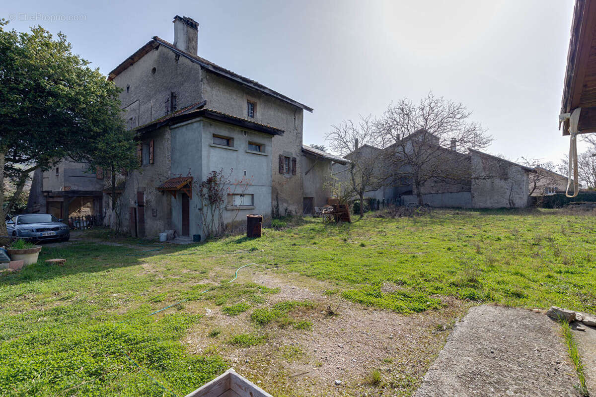 Maison à MASSONGY
