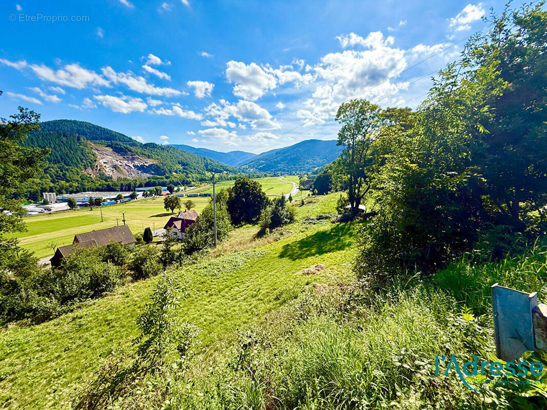 Terrain à MUHLBACH-SUR-MUNSTER