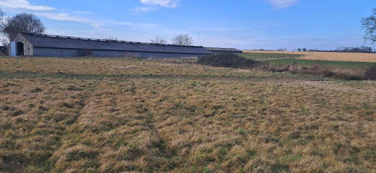 Maison à BONCHAMP-LES-LAVAL