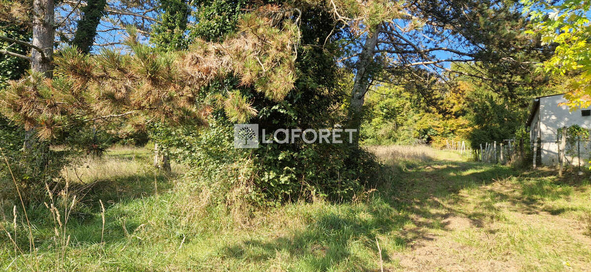 Terrain à PORT-LESNEY