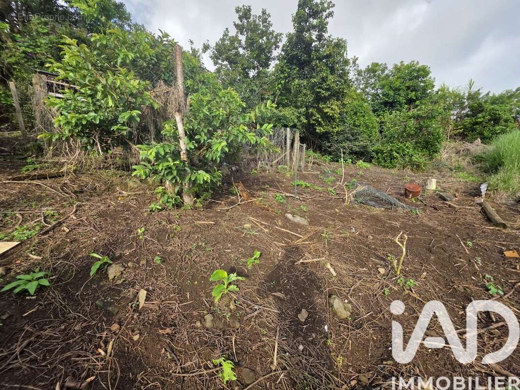 Photo 9 - Maison à LE PORT