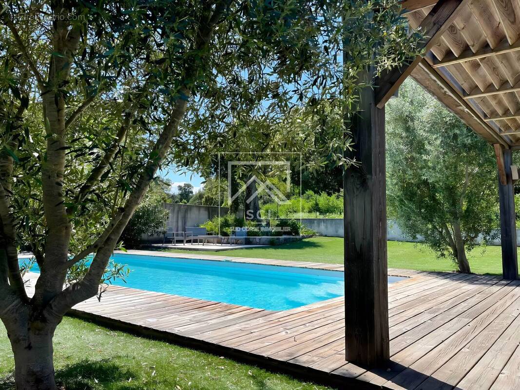 Maison à PORTO-VECCHIO