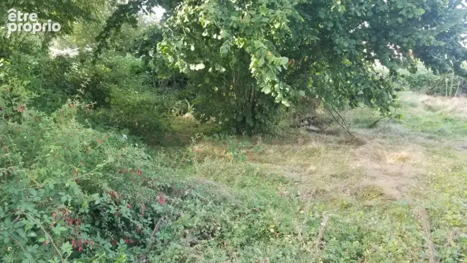 Terrain à LA SAUVE