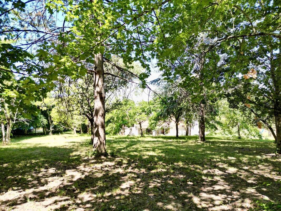 Proche de Beaupuy – Charmante maison en pierre de 3 chambres avec jardin arboré, à quelques pas d’un village - photo 23
