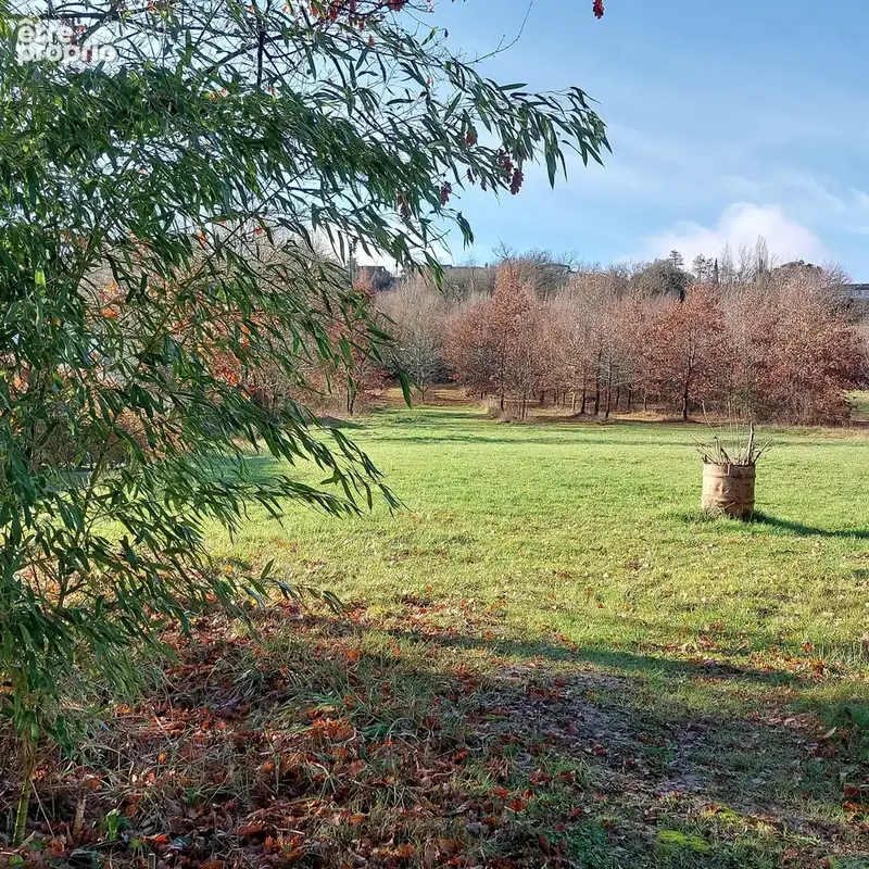 Maison à vendre 7 pièces MONTAUBAN (82) avec hangar de 150m², 6861m² de terrain avec une partie boisée - photo 33