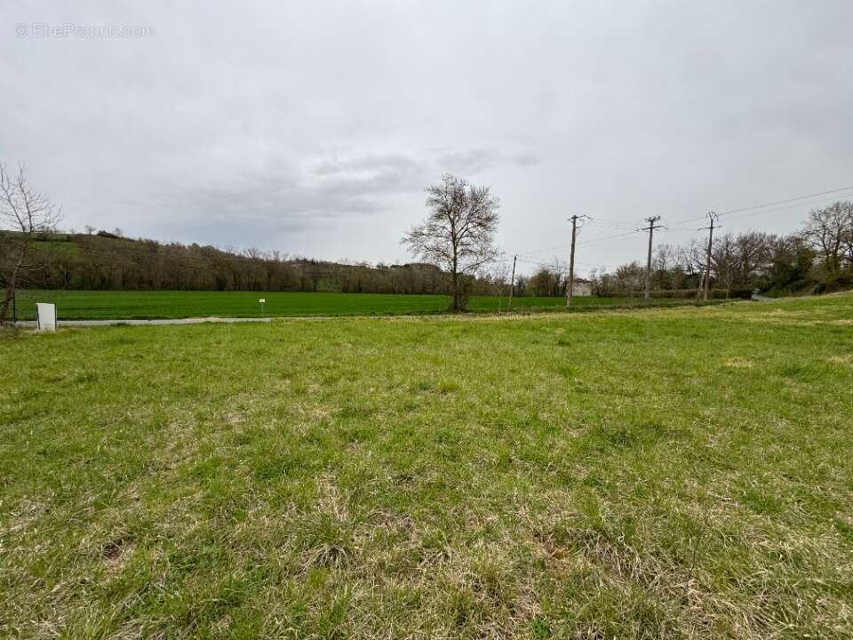 Terrain à AURIAC-SUR-VENDINELLE