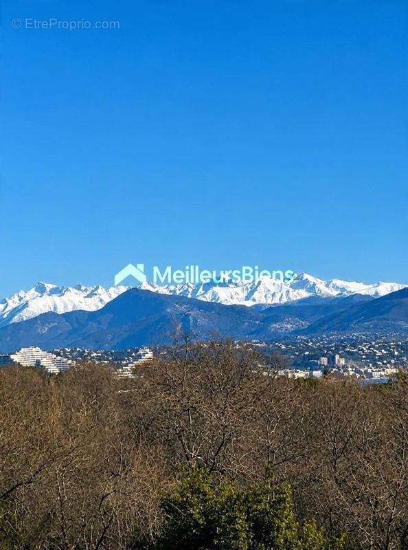 Photo Appartement à Antibes au prix de 369 000€