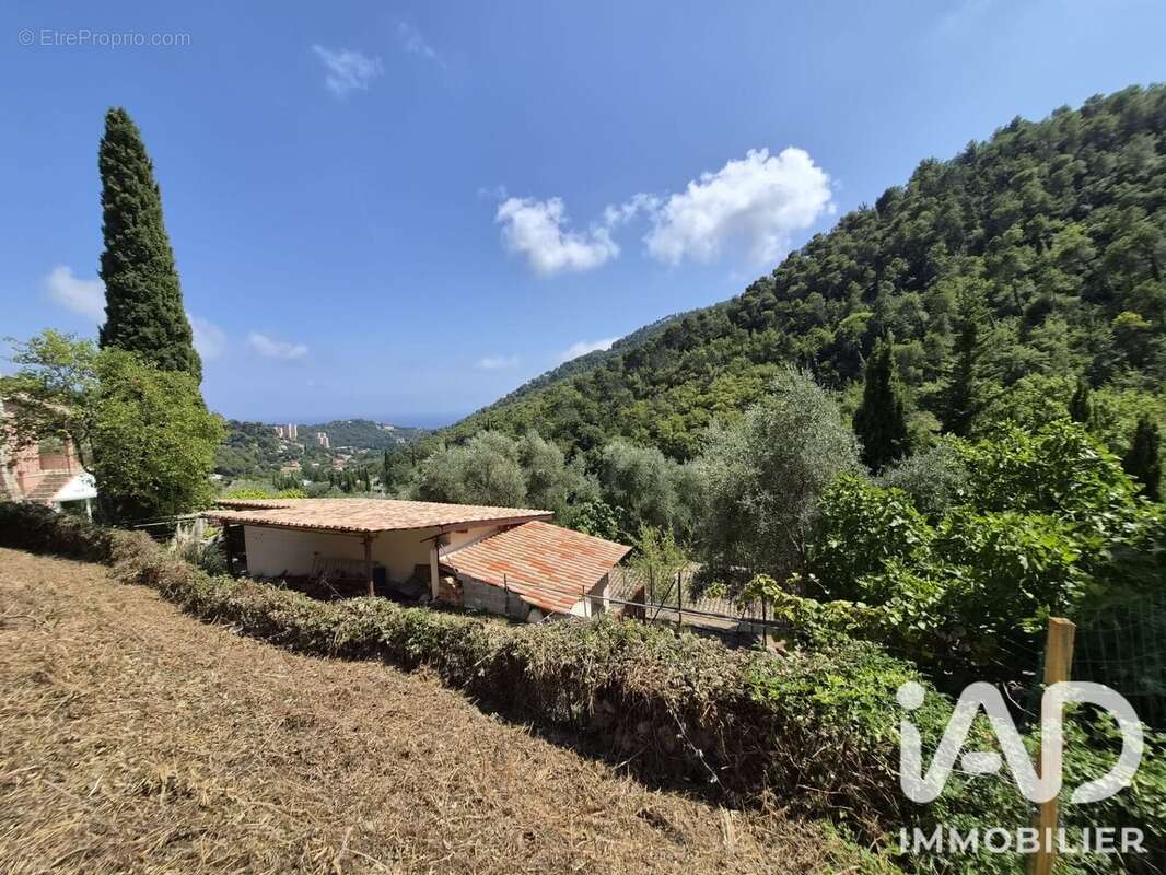 Terrain 802 m² à Gorbio  - photo 9