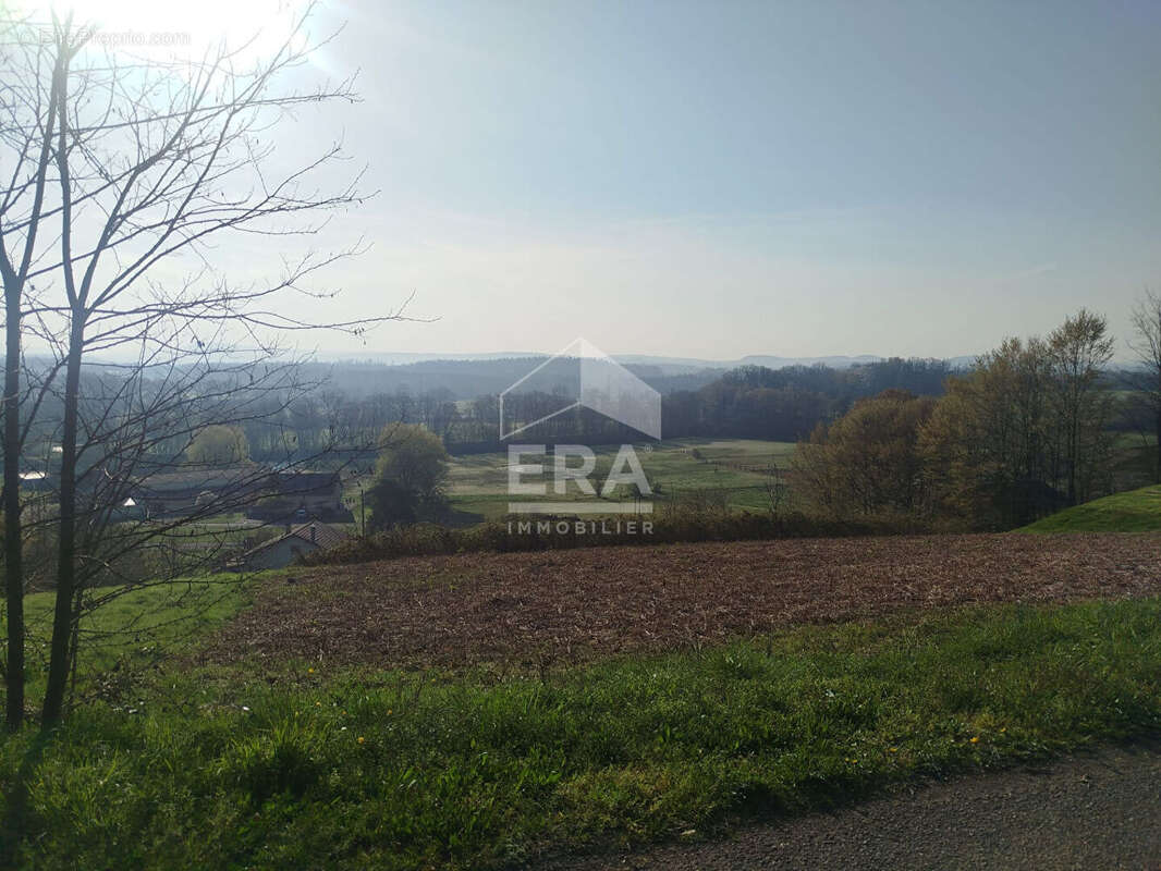 Terrain à MOIMAY