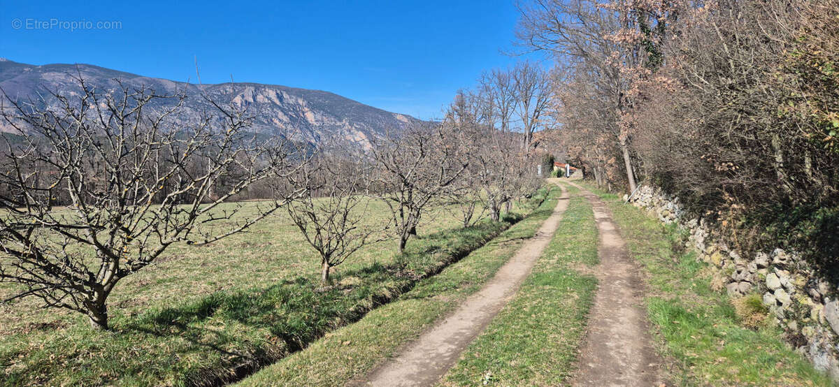 MAS DE CARACTERE 308M² au Coeur des Pyrénéen - Orientales - photo 6