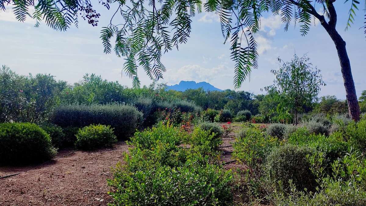 Appartement à PUGET-SUR-ARGENS