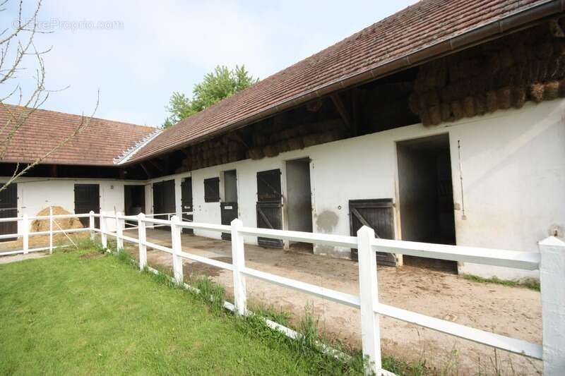 Maison à VILLARS-LES-DOMBES