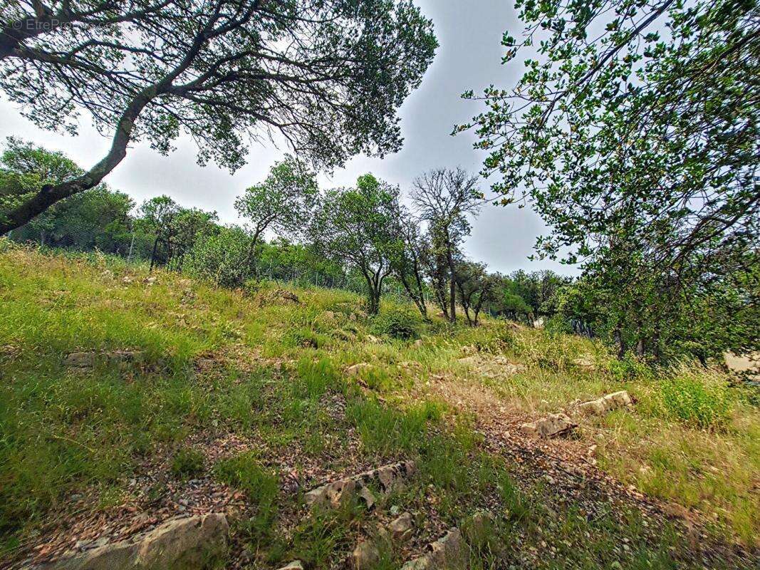 Maison à SAINT-MARTIN-DE-VALGALGUES