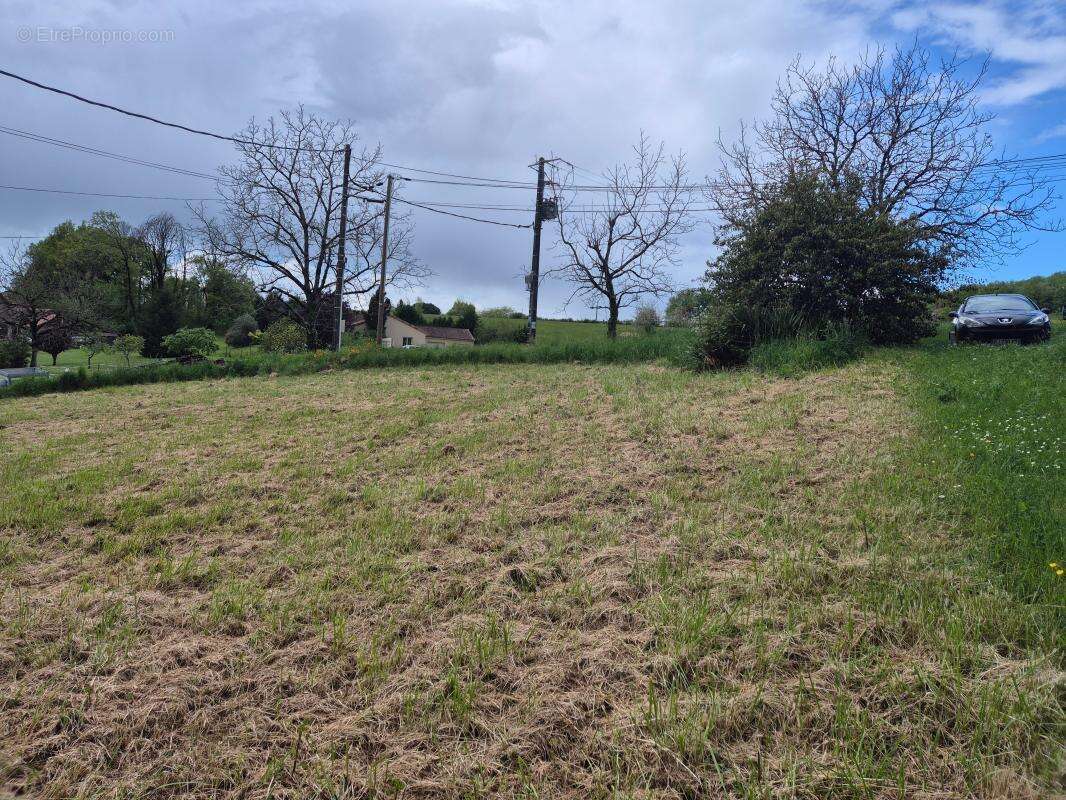 Terrain à TERRASSON-LAVILLEDIEU