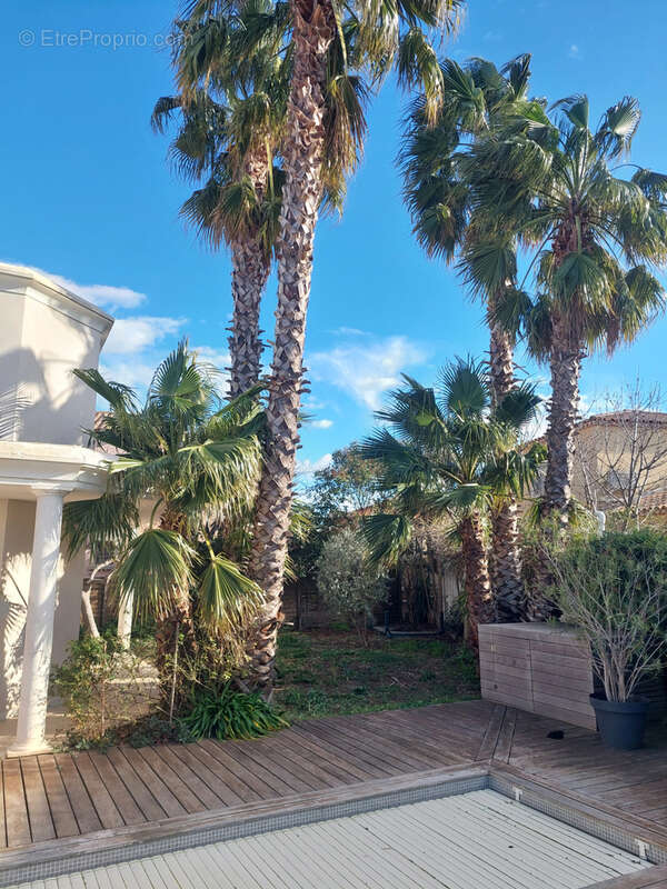 Maison à VILLENEUVE-LES-MAGUELONE