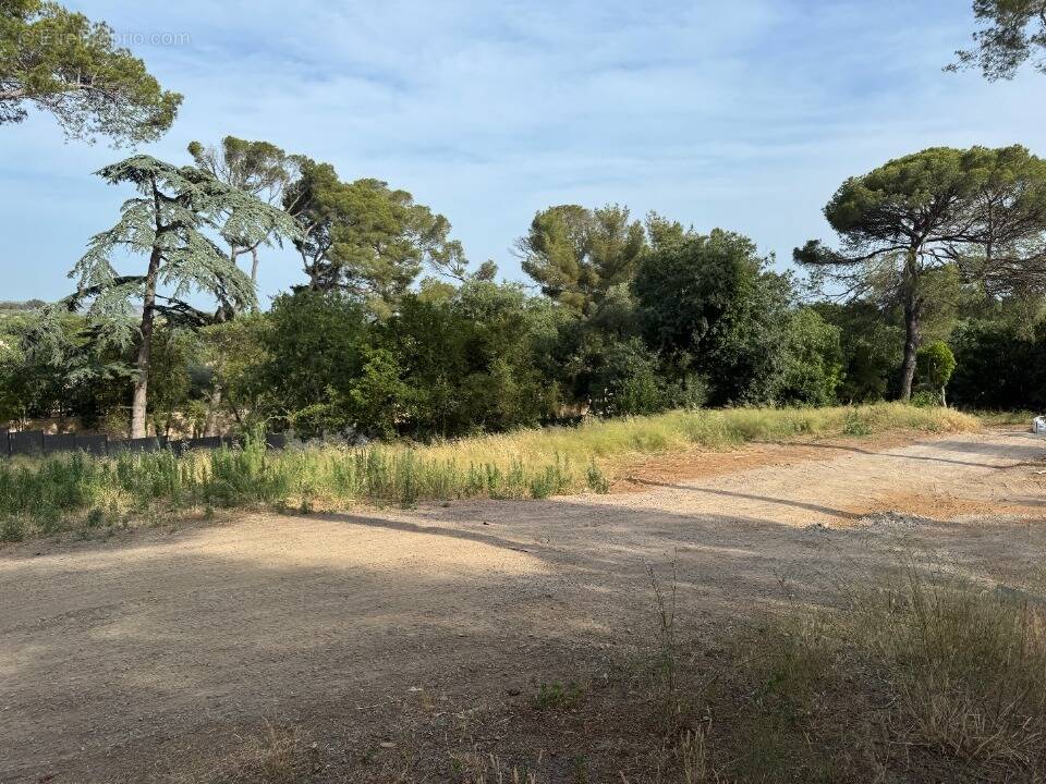 Terrain à COURNONSEC