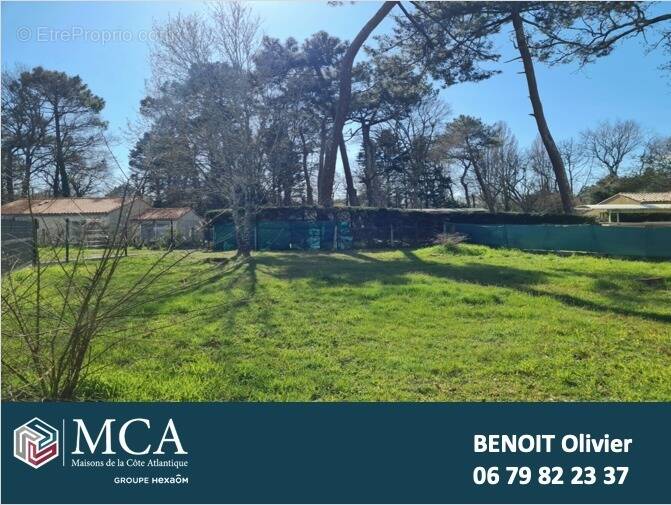 Terrain à LES MATHES