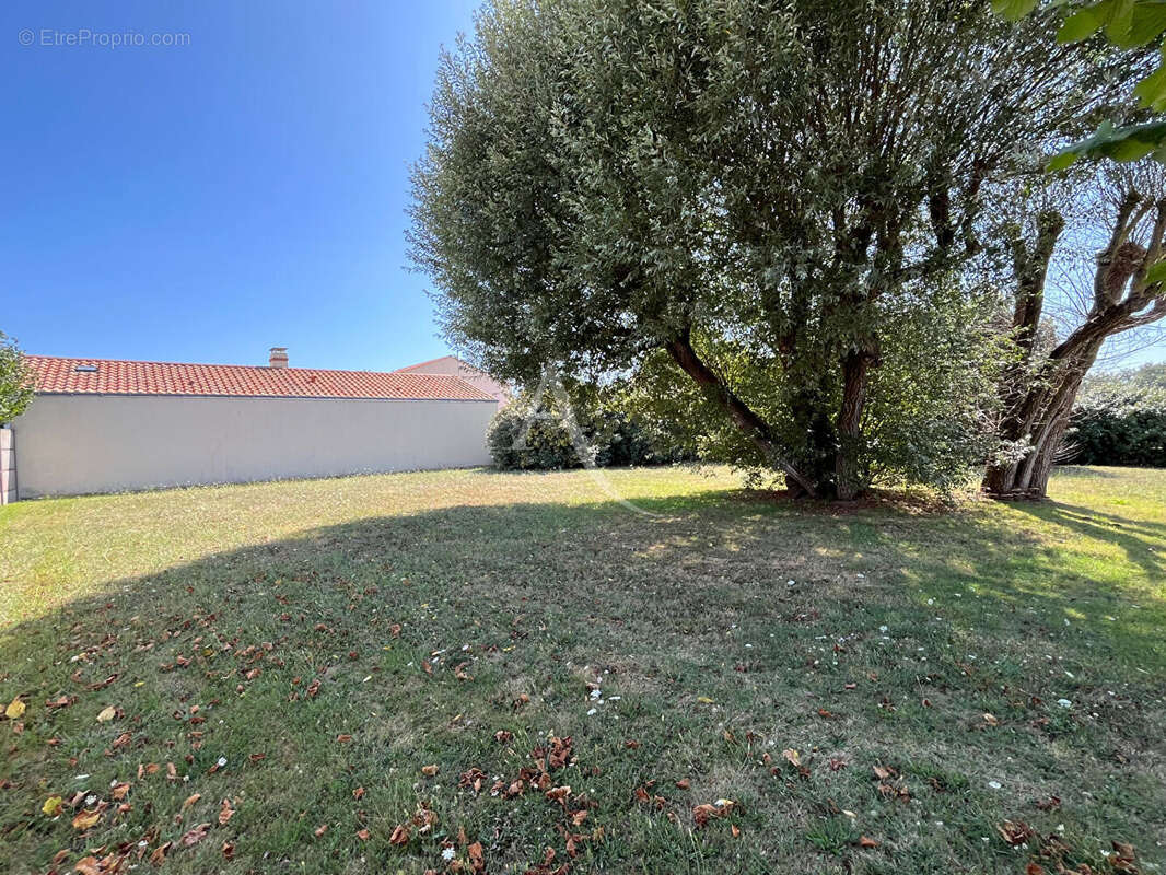Terrain à batir à saint hilaire de riez - terre fort - 564 m² - photo 4