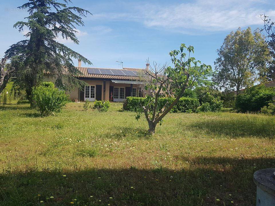 Photo 1 - Maison à ARGELIERS