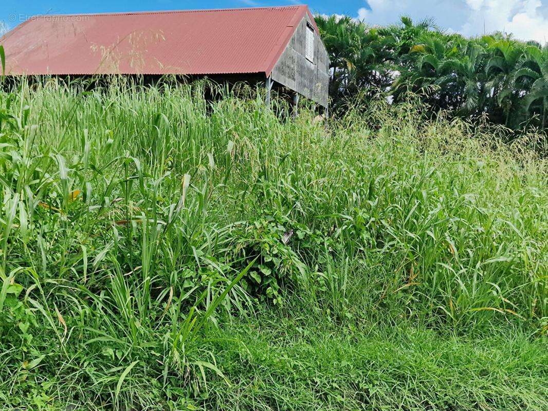 Terrain à LE VAUCLIN