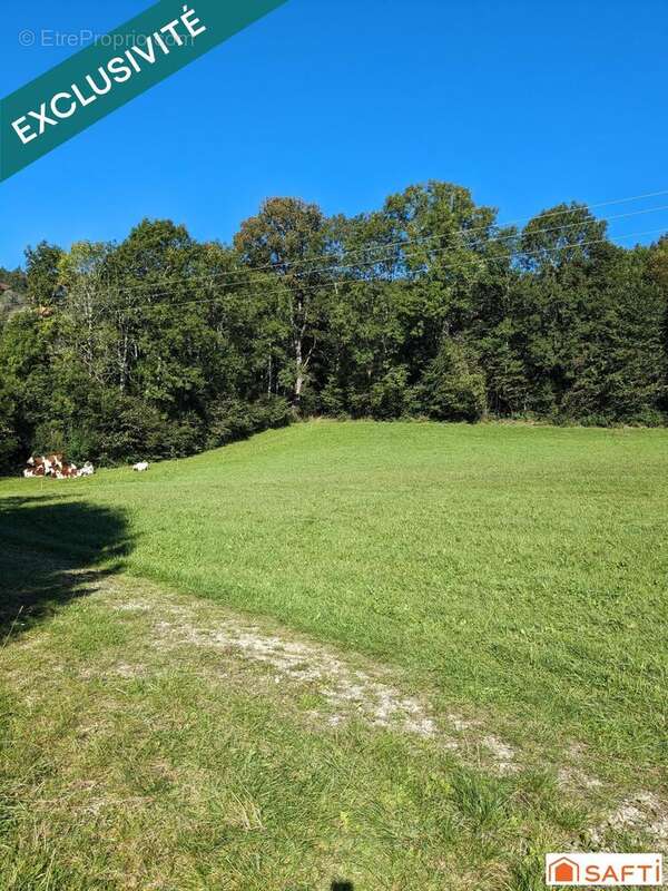 Photo 3 - Terrain à FONCINE-LE-HAUT