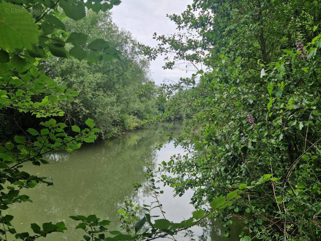 Terrain à CHAMPAGNE
