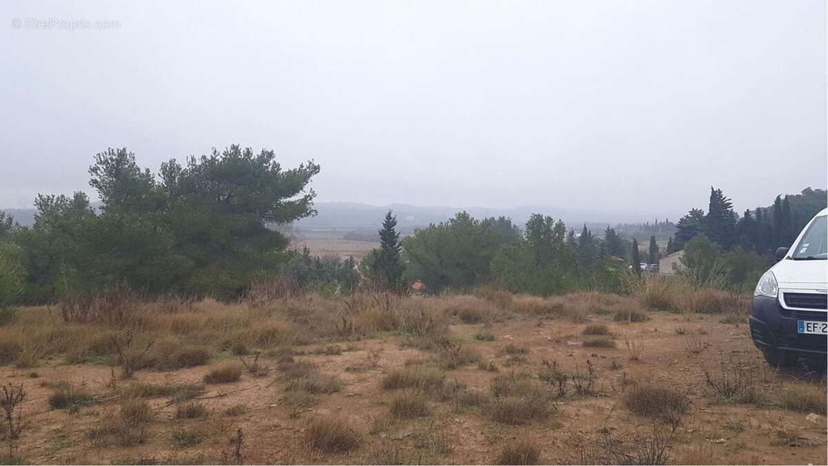 Photo 3 - Terrain à ESCALES