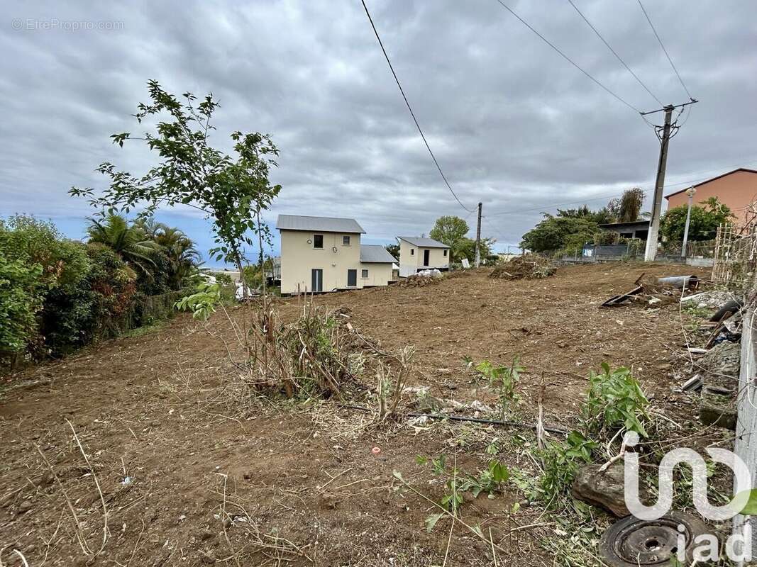 Photo 3 - Terrain à LE TAMPON