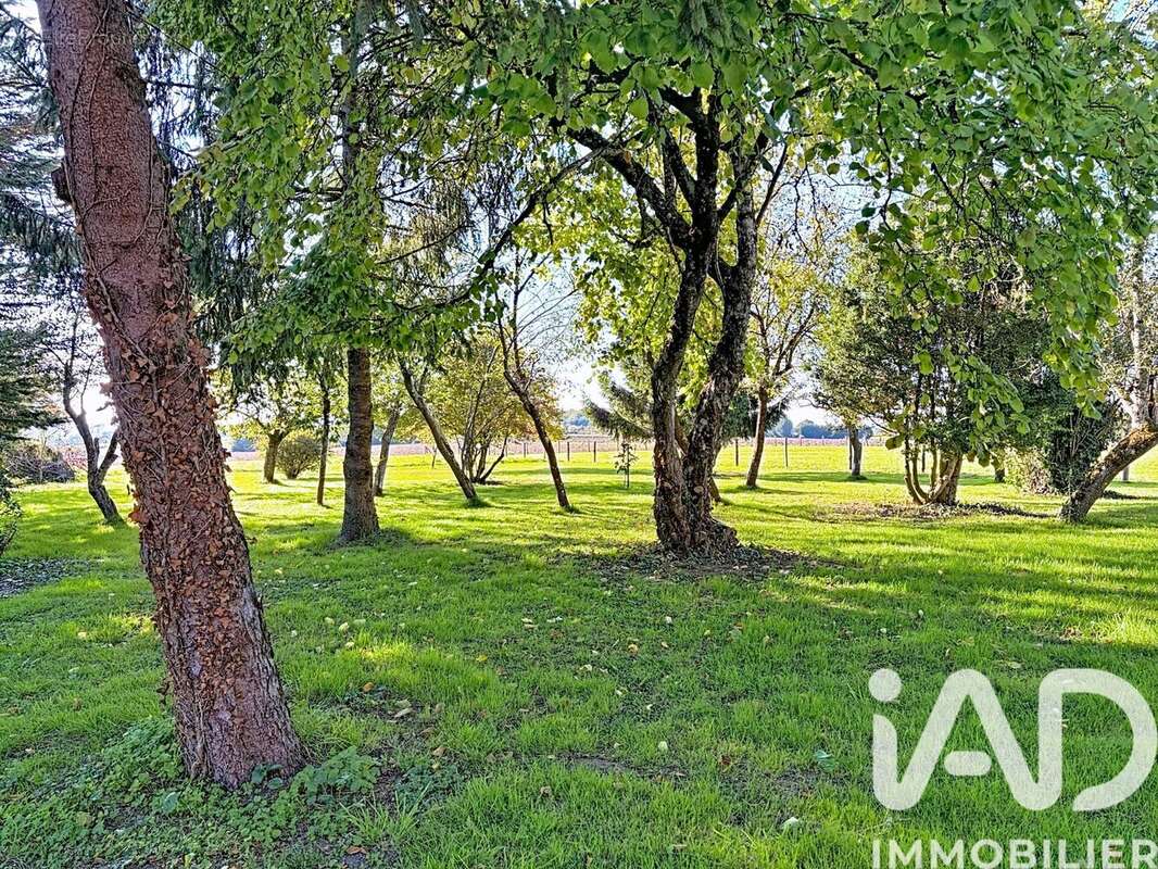 Photo 5 - Maison à GENILLE