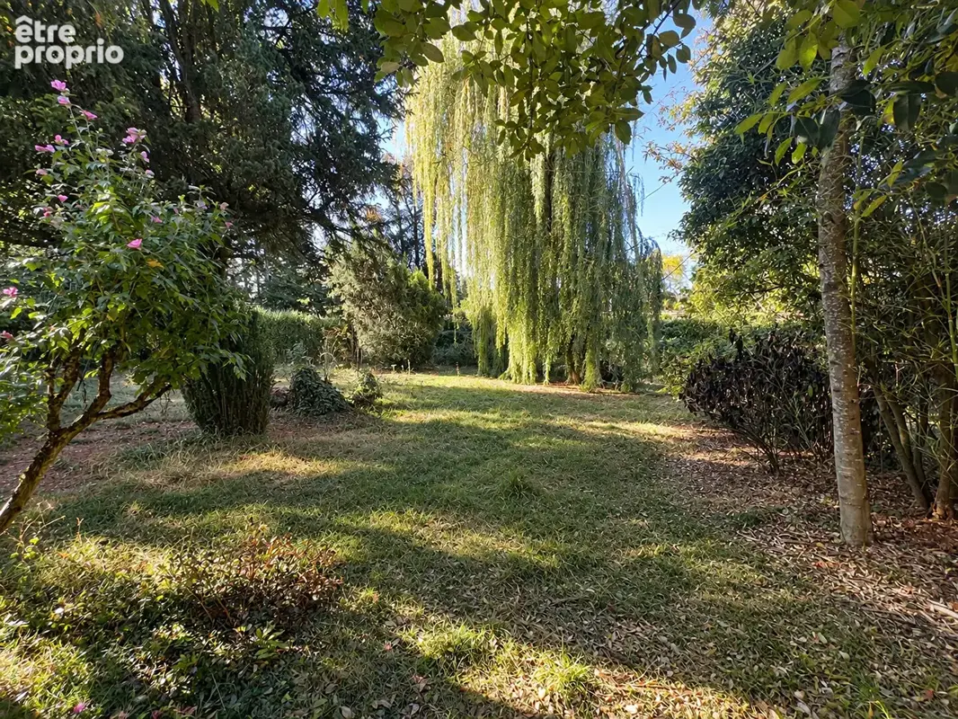 Maison Sèvres 7 pièces - 5 chambres - 165 m2 (295 m² au sol) - photo 6