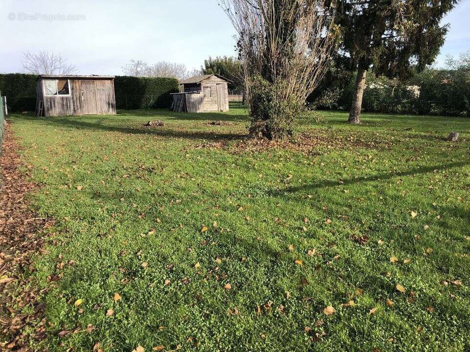 TERRAIN CONSTRUCTIBLE 771 M2 NON VIABILISE BORNE  - Terrain à CISSAC-MEDOC