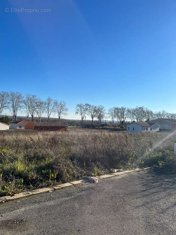 Terrain à RABASTENS