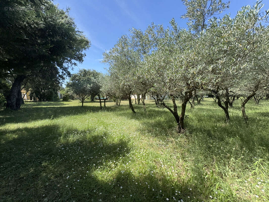 Maison à VILLENEUVE-LES-AVIGNON
