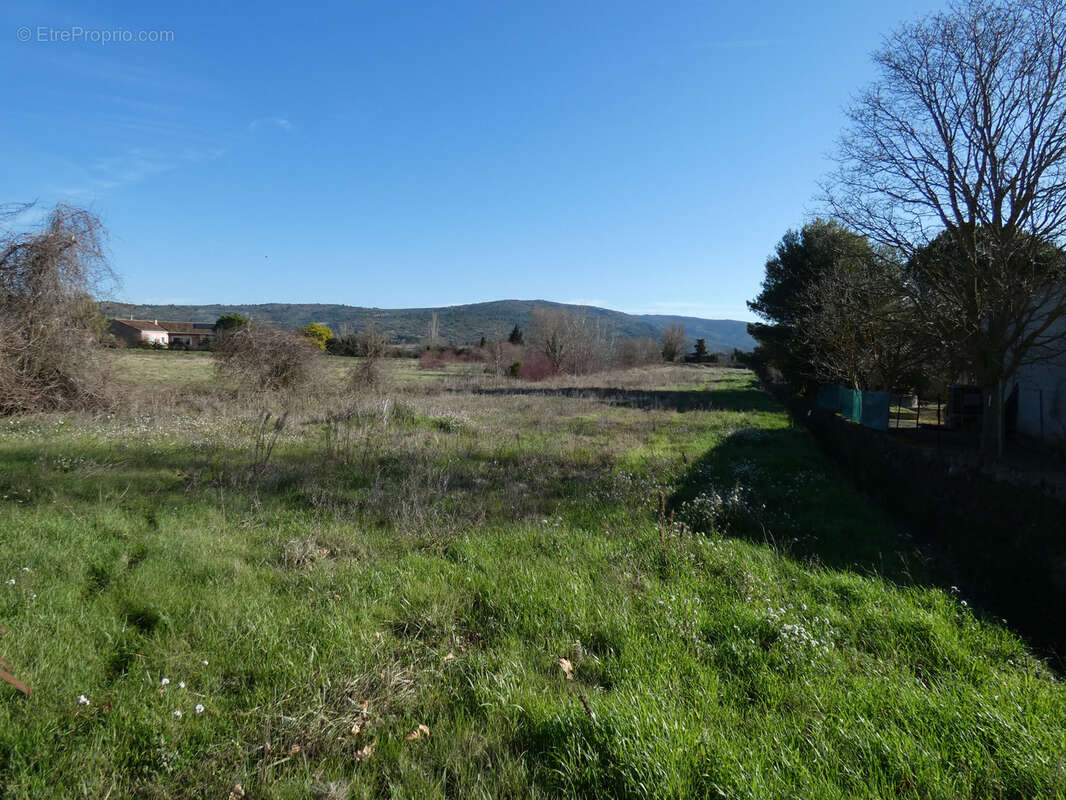 Terrain à MONTLAUR