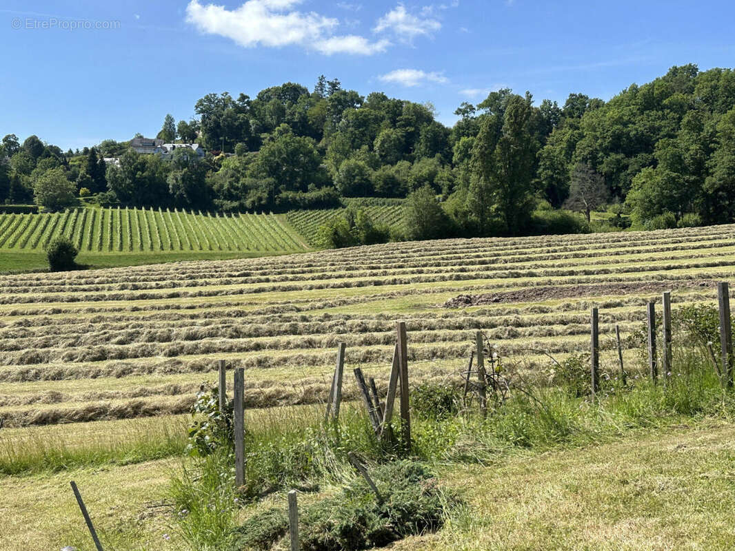 IMG_0114 - Maison à OLORON-SAINTE-MARIE