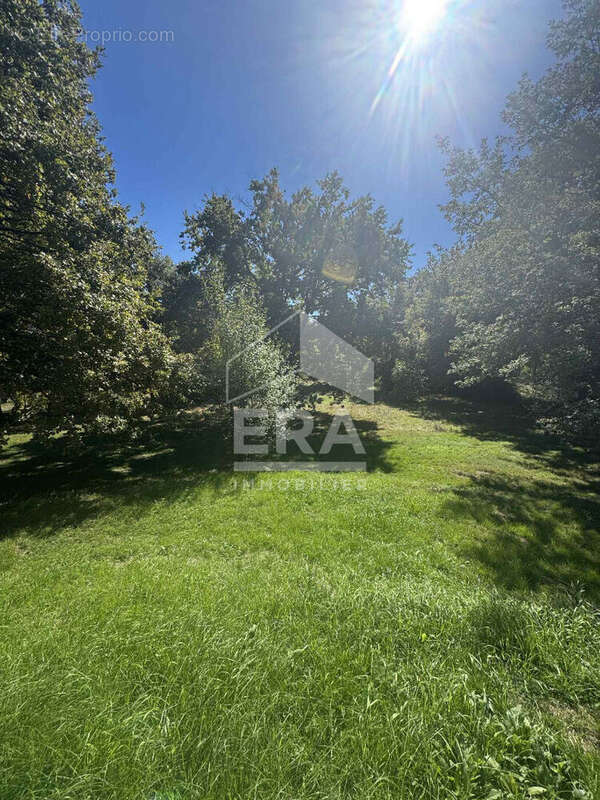 Maison 211m² à montpon-ménestérol - photo 3